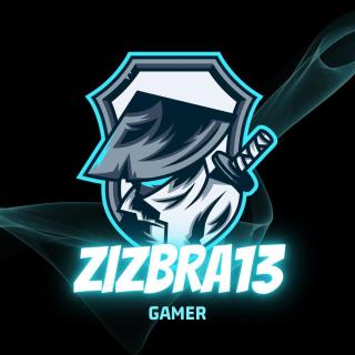 zizbra13