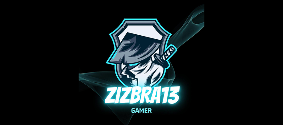 zizbra13_5